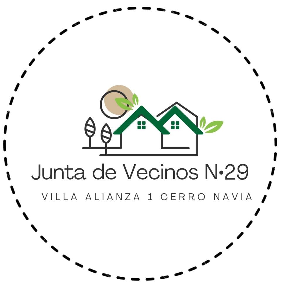 Junta de vecinos N29